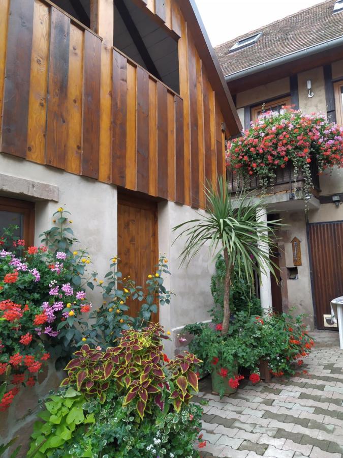 Appartement Duplex Chez Sandra أوتْروت المظهر الخارجي الصورة